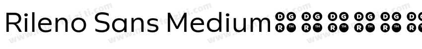 Rileno Sans Medium字体转换